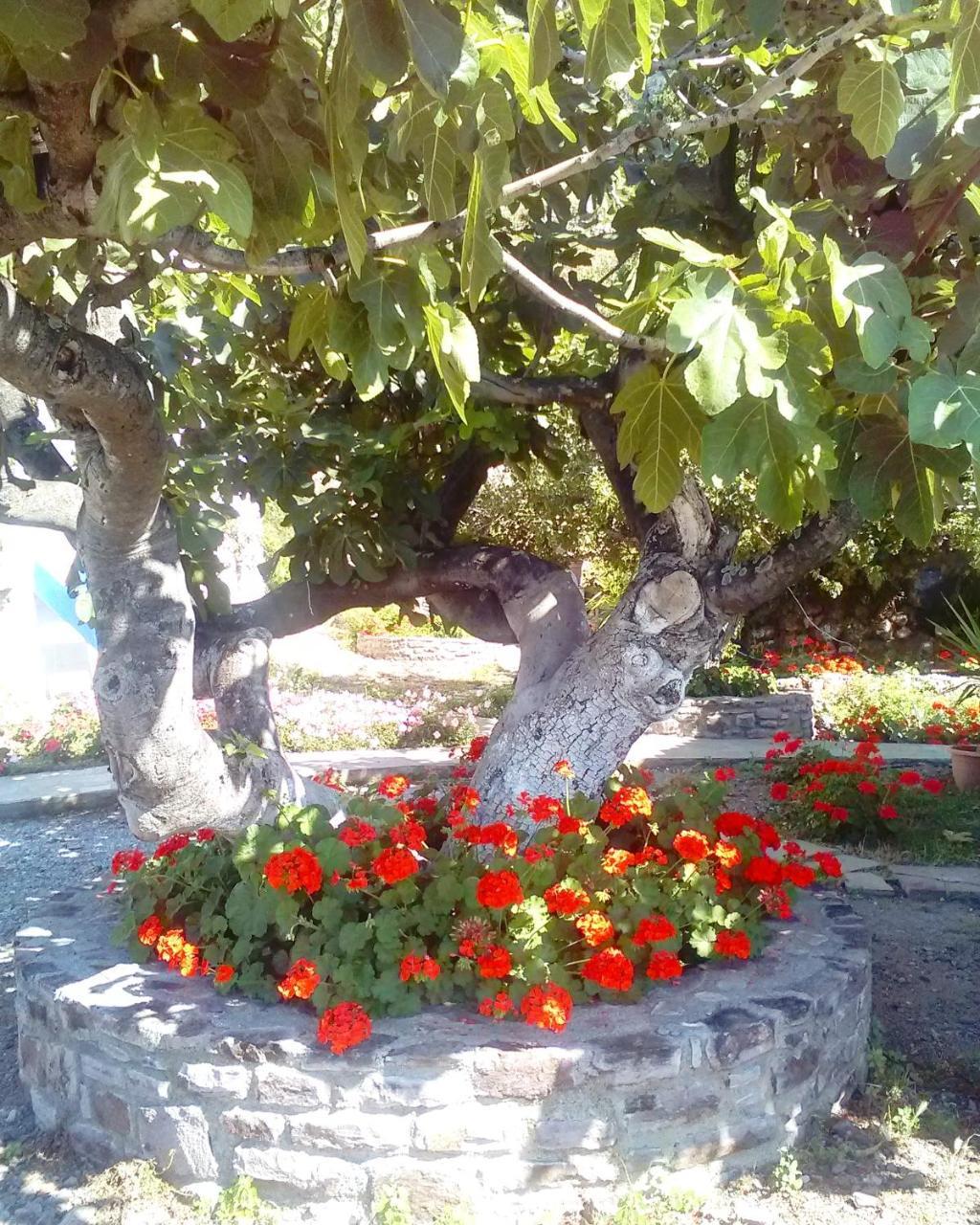Enalion Apartments Agios Ioannis Kaspaka ภายนอก รูปภาพ